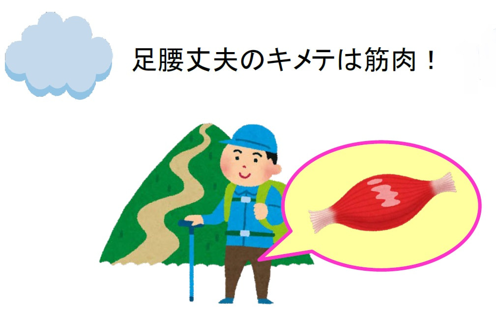 美味しく楽しく食べ運動して『いまこそ貯筋を!!』